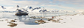 Landings of passengers on a cruise on Petermann Island, Antarctic Peninsula, Antarctica