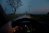 Automobiliste voyant un Sanglier traverser la route devant lui à la tombée de la nuit
