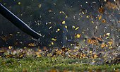 Leaf blower blows autumn leaves, Baden-Württemberg, Germany, Europe