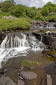 Eas Fors waterfall, Isle of Mull, Scotland, UK