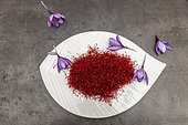 Saffron (Crocus sativus), spice for cooking