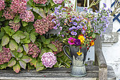 Autumn bouquet sitting on a garden bench, Pas de Calais, France