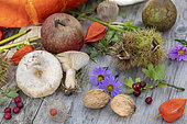 Autumn table in a garden, Pas de Calais, France