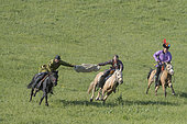 Mongolians traditionnaly dressed on a horse, traditional exercise of address, Bashang Grassland, Zhangjiakou, Hebei Province, Inner Mongolia, China