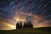 Startrail above Cypress trees in Val d'Orcia, San Quirico d'Orcia, Siena, Tuscany, Italy