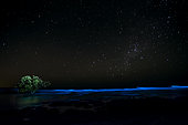 Marine luminescence at caribbean beach under sky full of stars, Nicoya Peninsula, Costa Rica