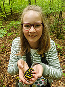 Young girl discovers a spotted salamander in Queen's Forest, Lorraine, France