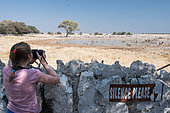 Young girl photographing wildlife at the waterhole safely behind a low stone wall. Okaukuejo Camp, Etohsa, Namibia.