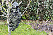 Young photographer in camouflage on the lookout in a tree in a garden