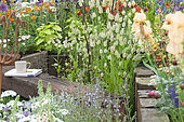 Summer garden