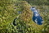 Drone view, aerial photo, clouds reflected in shoe shaped lake in boreal arctic forest with conifers, Pines (Pinus) in Rouppankongäs, Pallas-Yllästunturi National Park, Kittilä, Lapland, Finland, Europe