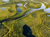 Drone view, aerial photo of Vuontisjärvi, small lakes and meanders, river loops in boreal arctic forest with conifers, Pines (Pinus) Karesuando, Norrbottens län, Sweden, Europe