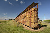 Corn drying, Beauce, Center-Val de Loire, France