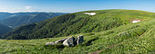 Landscape of the Vosges ridges with views of the Kastelberg, Vosges, France