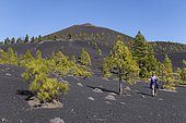 San Martín volcano, Cumbre Vieja in Fuencaliente, La Palma, Canary Islands, Spain, Europe