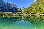Mirror on Lake Braies, in the Dolomites, famous lake in a grandiose setting, tourism spot in the upper Adige at the foot of the Dolomites, Fanes-Sennes-Braies Nature Park, Tyrol, Italy