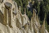 Hoodoo rock in South Tyrol, Platten, near Brunico, Tyrol, Italy