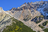 Subalpine landscape of the Val de Fanes in the Dolomites, vivid scree, prostrate mugo pines and larches: a typical Dolomite landscape, Val di Fanes, Fanes-Sennes-Braies Nature Park, Dolomites, Tyrol, Italy