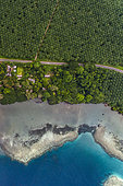 Tara Pacific expedition - november 2017 Kimbe Bay, palm oil plantation and nearby coral reef, affected by bleaching, Papua New Guinea, H: 552,4 m. mandatory credit line: Photo: Christoph Gerigk, drone pilot: Guillaume Bourdin - Tara Expeditions Foundation