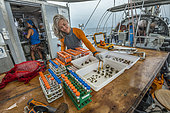 Tara Pacific expedition - november 2017 Proceeding of coral samples o/b Tara, Papua New Guinea, Dr. Rebecca Vega Thurber (scientific coordinator), Associate Professor, Oregon State University