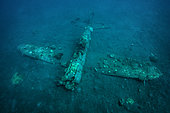 Tara Pacific expedition - november 2017 Kimbe Bay, Papua New, Guinea, Zero, Japanese WW2 fighter plane wreck. D: 15 m, The Zero wreck was discovered in January 2000 by local William Nuli while he was freediving for sea cucumbers. He asked the Walindi Plantation Resort dive team if they might know what it was, and when they investigated they uncovered the intact wreck of a Zero fighter, resting on a sedimented bottom in 15 m depth. This World War II Japanese fighter is almost completely intact. The plane is believed to have been ditched, the pilot is believed to have survived, but was never found on the island. He never returned home. Maybe he disappeared in the jungle… On 26th December 1943, during the battle of Cape Gloucester, the Japanese pilot made an emergency landing, ditching his Mitsubishi A6M Zero plane into the sea approximately 100m off West New Britain Province. The plane was piloted by PO1 Tomiharu Honda of the 204st Kōkūtai. His fate is unknown but it is believed the he made a controlled water landing after running out of fuel and survived. Although he failed to return to his unit, the plane was found with the throttle and trim controls both set for landing and the canopy was open. There are no visible bullet holes or other shrapnel damage and the plane is still virtually intact after over 70 years underwater. It is a A6M2 Model 21 Zero, made famous for its use in Kamikaze attacks by the Japanese Imperial Navy. The wreck has the Manufacture Number 8224 and was built by Nakajima in late August 1942.