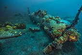 Tara Pacific expedition - november 2017 Kimbe Bay, papua New Guinea, Zero wreck: Coral growth on this wreck is from a period of 74 years ! D: 15 m The ZERO, is a Japanese WW2 fighter plane wreck. This Zero wreck was discovered in January 2000 by local William Nuli while he was freediving for sea cucumbers. He asked the Walindi Plantation Resort dive team if they might know what it was, and when they investigated they uncovered the intact wreck of a Zero fighter, resting on a sedimented bottom in 15 m depth. This World War II Japanese fighter is almost completely intact. The plane is believed to have been ditched, the pilot is believed to have survived, but was never found on the island. He never returned home. Maybe he disappeared in the jungle… On 26th December 1943, during the battle of Cape Gloucester, the Japanese pilot made an emergency landing, ditching his Mitsubishi A6M Zero plane into the sea approximately 100m off West New Britain Province. The plane was piloted by PO1 Tomiharu Honda of the 204st Kōkūtai. His fate is unknown but it is believed the he made a controlled water landing after running out of fuel and survived. Although he failed to return to his unit, the plane was found with the throttle and trim controls both set for landing and the canopy was open. There are no visible bullet holes or other shrapnel damage and the plane is still virtually intact after over 70 years underwater. It is a A6M2 Model 21 Zero, made famous for its use in Kamikaze attacks by the Japanese Imperial Navy. The wreck has the Manufacture Number 8224 and was built by Nakajima in late August 1942.