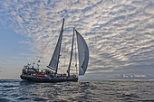 Tara Oceans Expeditions - May 2011. Sailing Tara; Guayaquil-Galapagos leg; Ecuador