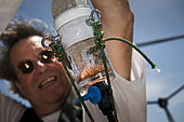 Tara Oceans Expeditions - May 2011. Christian Sardet, CNRS biologist, admiring a plancton catch, Galapagos