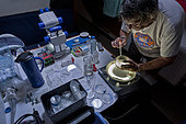 Tara Oceans Expeditions - May 2011. Christian Sardet, CNRS biologist, selecting plancton for microscopy o/b Tara.