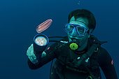 Tara Oceans Expeditions - May 2011. Daniel Cron, first mate and chief engineer of Tara with Nude Ctenophore, Galapagos