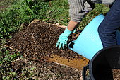 Lasagna bed ; plant fruits in lasagna bed. In soils that are poor, rocky, clayey or simply grassy, lasagna is a magical solution for planting fruit trees.