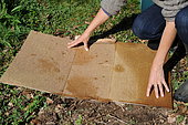 Lasagna bed ; plant fruits in lasagna bed. In soils that are poor, rocky, clayey or simply grassy, lasagna is a magical solution for planting fruit trees.