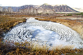 Muddy mudflats in the Geyser Valley, Kamchatka, Russian Federation.