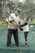 Alessandra, 7, learns to use an electric comb with Nikos for olive harvesting, Kritsa, Crete, Greece
