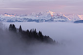 Massif of Mont Blanc, at sunset, seen from the station of Brasses, in Haute-Savoie. View of the Mont Blanc massif, above a sea of clouds, at sunset, December 29, 2018. Alpes, France