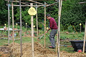 Lasagna - Install and grow lasagna in height. You can make your lasagna stand out by creating bamboo or chestnut racks. This makes it easier to work for both maintenance and harvesting.