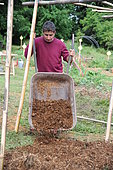 Lasagna - Install and grow lasagna in height. You can make your lasagna stand out by creating bamboo or chestnut racks. This makes it easier to work for both maintenance and harvesting.