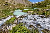 Meanders of Petit Tabuc, at Reou d'Arsine, the waters are bleached by the "glacial flour", clay powder from the erosion of rocks by the Arsine glacier, located upstream, Ecrins National Park, Alps, France