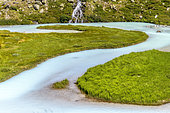 Meanders of Petit Tabuc, at Reou d'Arsine, the waters are bleached by the "glacial flour", clay powder from the erosion of rocks by the Arsine glacier, located upstream, Ecrins National Park, Alps, France