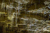 Concretions in the caves of Choranche, cave remarkably rich in fistuleuses, fine stalagmites that can reach several meters long, Massif du Vercors, Isère, France