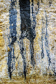 Bacterial varnish on a cliff in the Vercors. These deposits of manganese are related to the activity of bacterial complexes, associated with algae, along the wet flows of the cliffs. Rochers de Presles, Vercors Massif, Isère, France