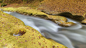 Mountain river in autumn. Chéran river carved its bed in a layer of soft molassic sandstone, thus forming remarkable gorges towards Hery on Alby, PNR des Bauges, Savoie, France