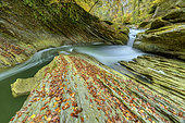 Mountain river in autumn. Chéran river carved its bed in a layer of soft molassic sandstone, thus forming remarkable gorges towards Hery on Alby, PNR des Bauges, Savoie, France