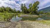 Rehabilitation of an old gravel pit, Ile de la Malourdie, Limit Ain / Savoie, France. Rehabilitation carried out by the Conservatoire of natural areas of Savoie in connection with the CNR, operator of the Rhône dams.