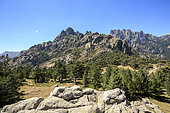 Col de Bavella, Aiguilles of Bavella (max alt: 1855m), Alta Rocca, Quenza, Corse-du-Sud, France