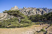 Hikers at the Bavella Pass and the Bavella Needles (max alt: 1855m), Alta Rocca, Quenza, Corse-du-Sud, France