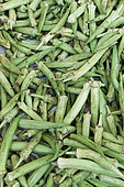 Okra (Abelmoschus esculentus), Guadeloupe
