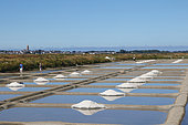 Salt marshes in full production, storage along the marsh, Guérande, Loire Atlantique, France