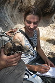 Egyptian Vulture (Neophron percnopterus) juvenile held during banding