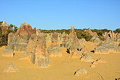 Pinnacles Desert, Nambung national park, WA, Australia